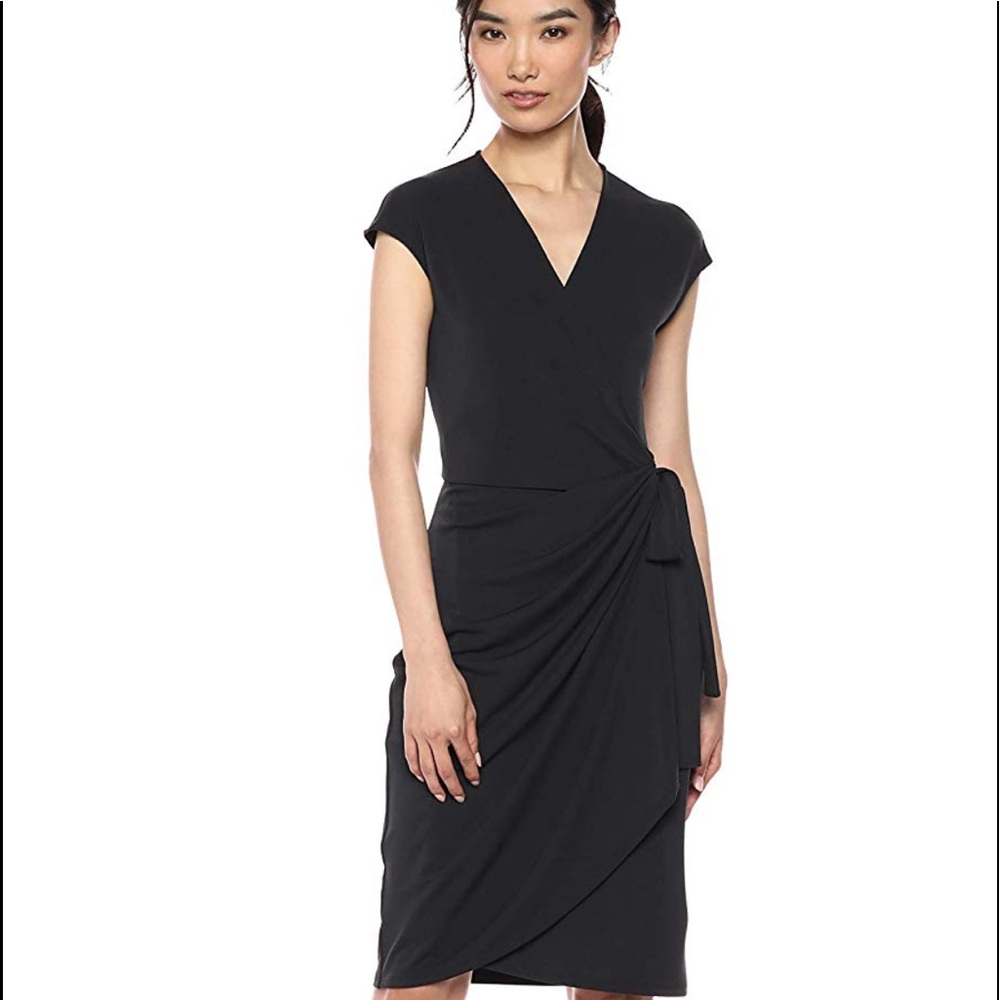 Lark and Ro wrap dress